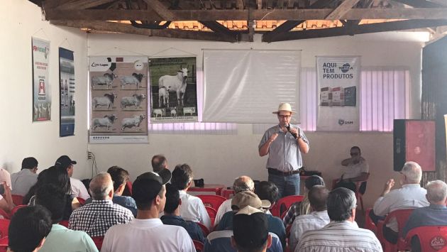 ILPF foi tema do 8º Dia de Campo da Fazenda Cachoeira, em Itaberá