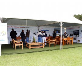 Irrigashow 2014 - É tudo isso e muito mais